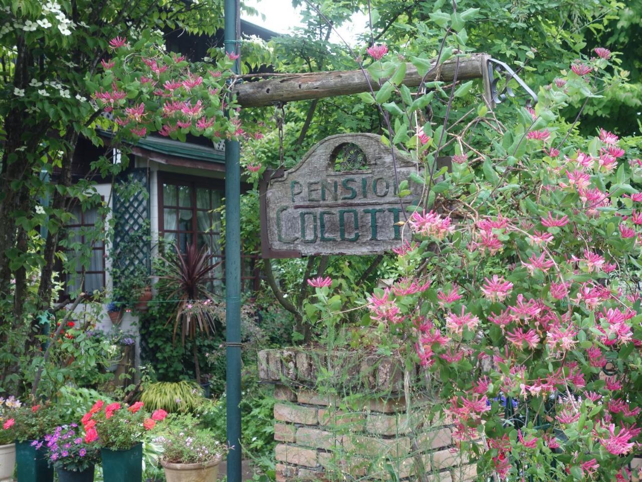 Pension Cocotte Takayama  Exterior foto